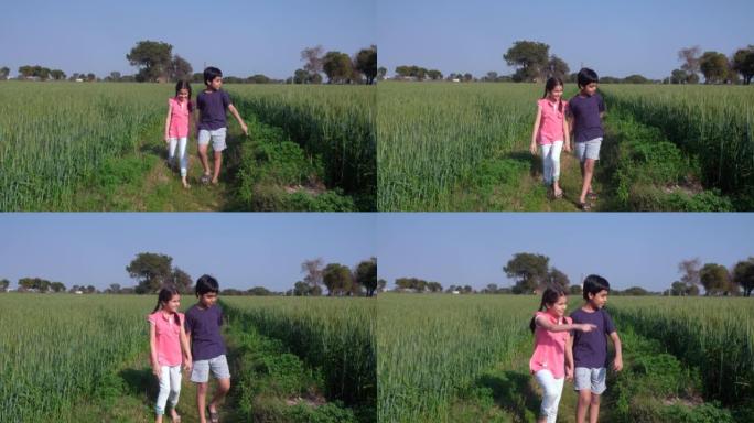 年轻微笑的孩子从农村家庭漫游在他们的稻田-印度农业，村庄的生活方式