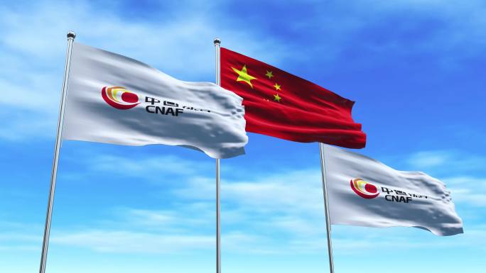 中国航油中国航油集团石油公司中国航油旗子