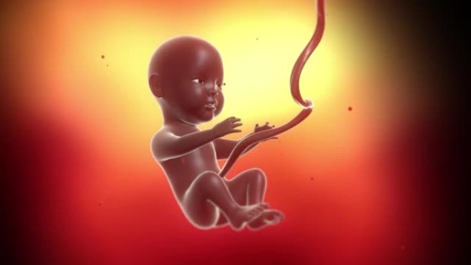 未出生的黑色婴儿，在子宫内发育和生长。醒着，准备出生。