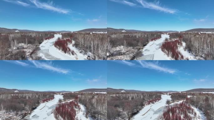 大兴安岭风光红毛柳雪景