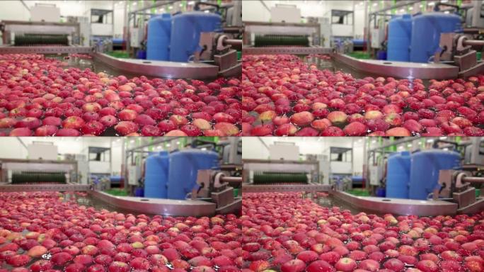 水果包装仓库里的苹果