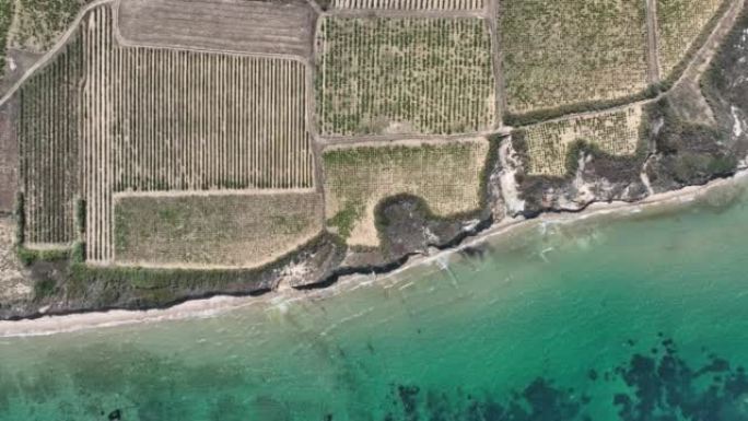 博兹卡达岛葡萄葡萄园无人机视频，卡纳卡莱土耳其