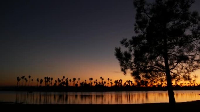 美国加利福尼亚海岸日落海洋海滩上的棕榈树和松树剪影。