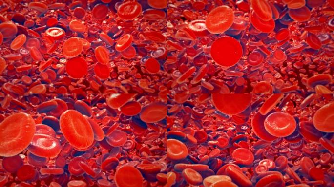 红细胞红细胞