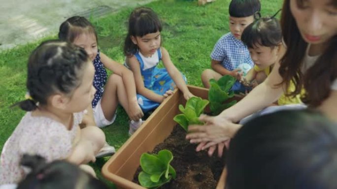 学前老师在托儿所教孩子有关植物的知识