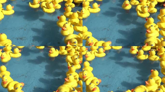 许多黄色橡皮鸭在游泳池里转圈游泳 -- 4k特写镜头。