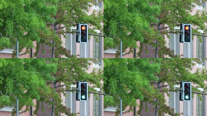 交通灯从红色切换到绿色
