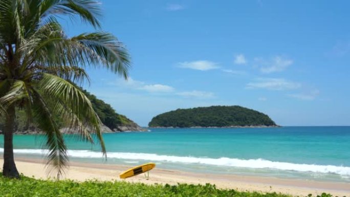 景观冲浪板装饰位于椰子树下夏季人群放松海滩。