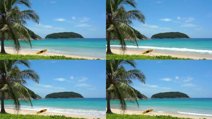 景观冲浪板装饰位于椰子树下夏季人群放松海滩。