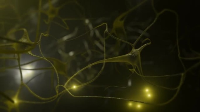 神经细胞。黄色。可循环。