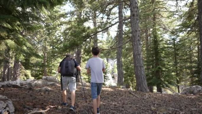 爸爸和他的儿子在森林里美丽的大自然中漫步。
