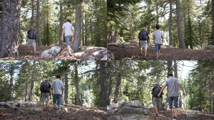 爸爸和他的儿子在森林里美丽的大自然中漫步。
