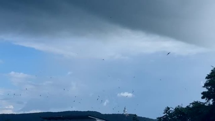 泰国风景慢动作在多云多雨的阴云空间下飞翔的鸟群与多风的天空嬉戏