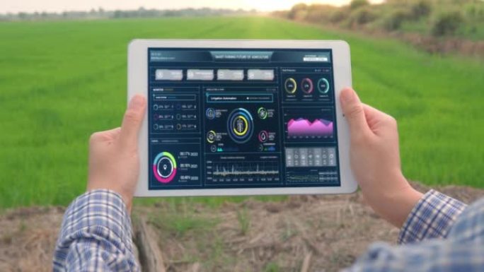 农夫在水稻农场中使用数字平板电脑，通过科学技术和视觉图形显示控制绿色水稻有机智能农场。