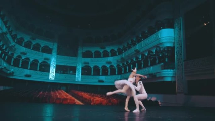 Professional duet of ballet dancers. Beautiful bal