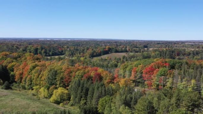 加拿大伍德布里奇秋季科特赖特中心保护和麦肯齐少校的多色叶子