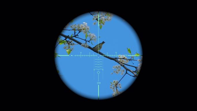 狙击枪 瞄准镜 望远镜 背景透明