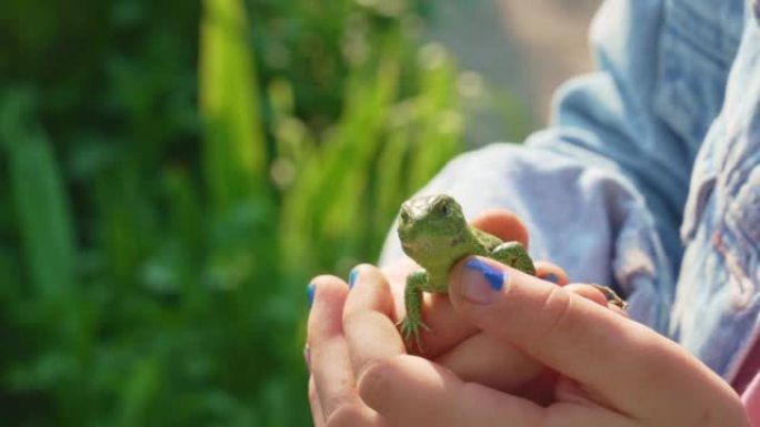 一个小女孩手里拿着一只绿色的小蜥蜴。一个不寻常的宠物。