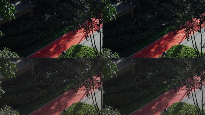 楼下路面上的红色地毯