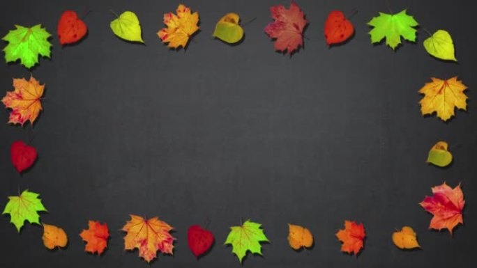 动画干燥秋叶框架，感恩节背景概念