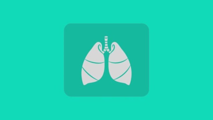 肺部动画4k分辨率