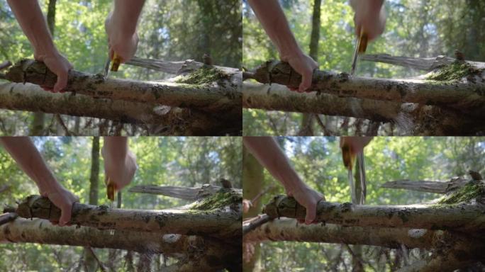 一种用手锯锯条切开森林中细木枝的雄性。特写，低角度拍摄，实时，平移和旋转，瑞士，欧洲
