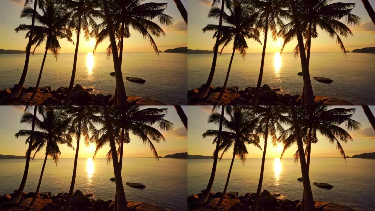 泰国普吉岛海滩上美丽的椰树，普吉岛上的棕榈树。海边的棕榈树林，日落天空惊人的金光夏季景观背景