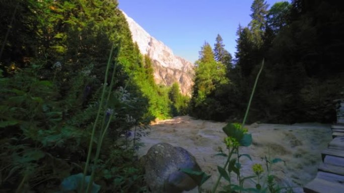 河流穿过落基山脉的风景图片