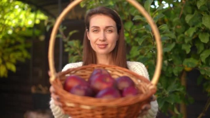 从快乐美丽的女人的脸上把快乐的焦点放在篮子里闻到苹果到健康的水果。年轻苗条的高加索女园丁站在户外吹嘘