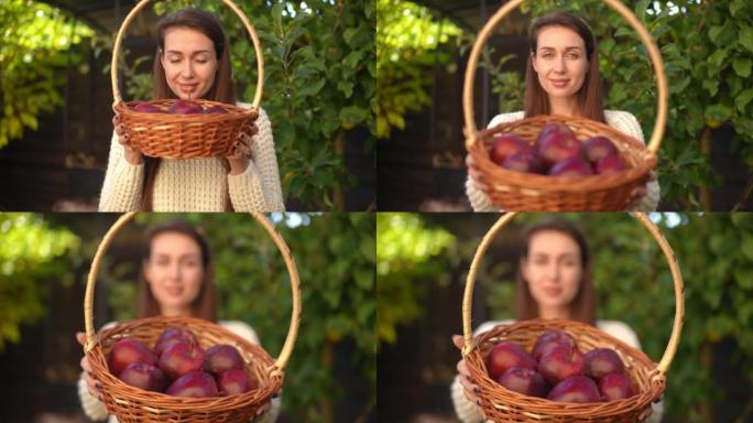 从快乐美丽的女人的脸上把快乐的焦点放在篮子里闻到苹果到健康的水果。年轻苗条的高加索女园丁站在户外吹嘘