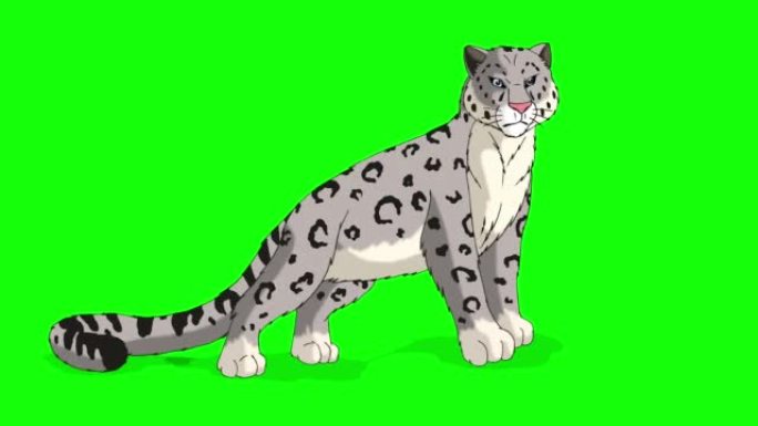 雪豹色度键4K卡通豹子mg动画