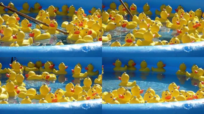 许多黄色橡皮鸭在游泳池里转圈游泳 -- 4k特写镜头。