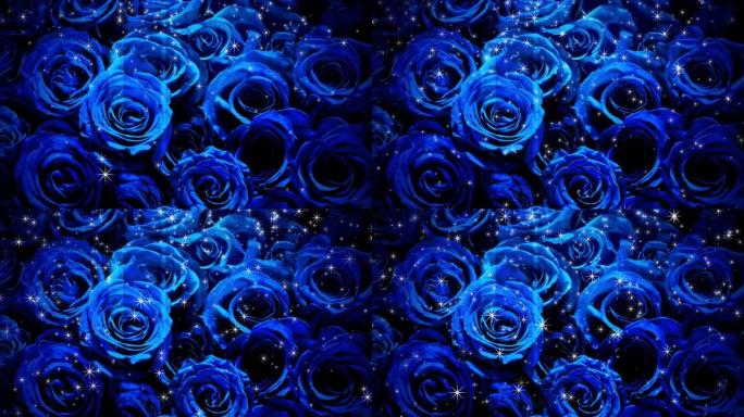 闪光倾泻在蓝玫瑰上