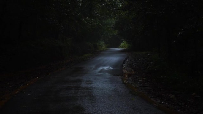 季风期间美丽的印度路在黑暗森林中经过的镜头。