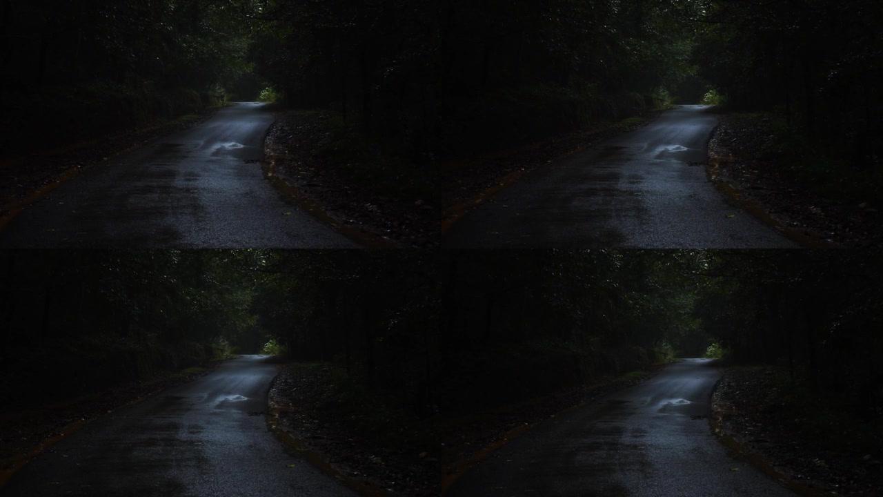 季风期间美丽的印度路在黑暗森林中经过的镜头。