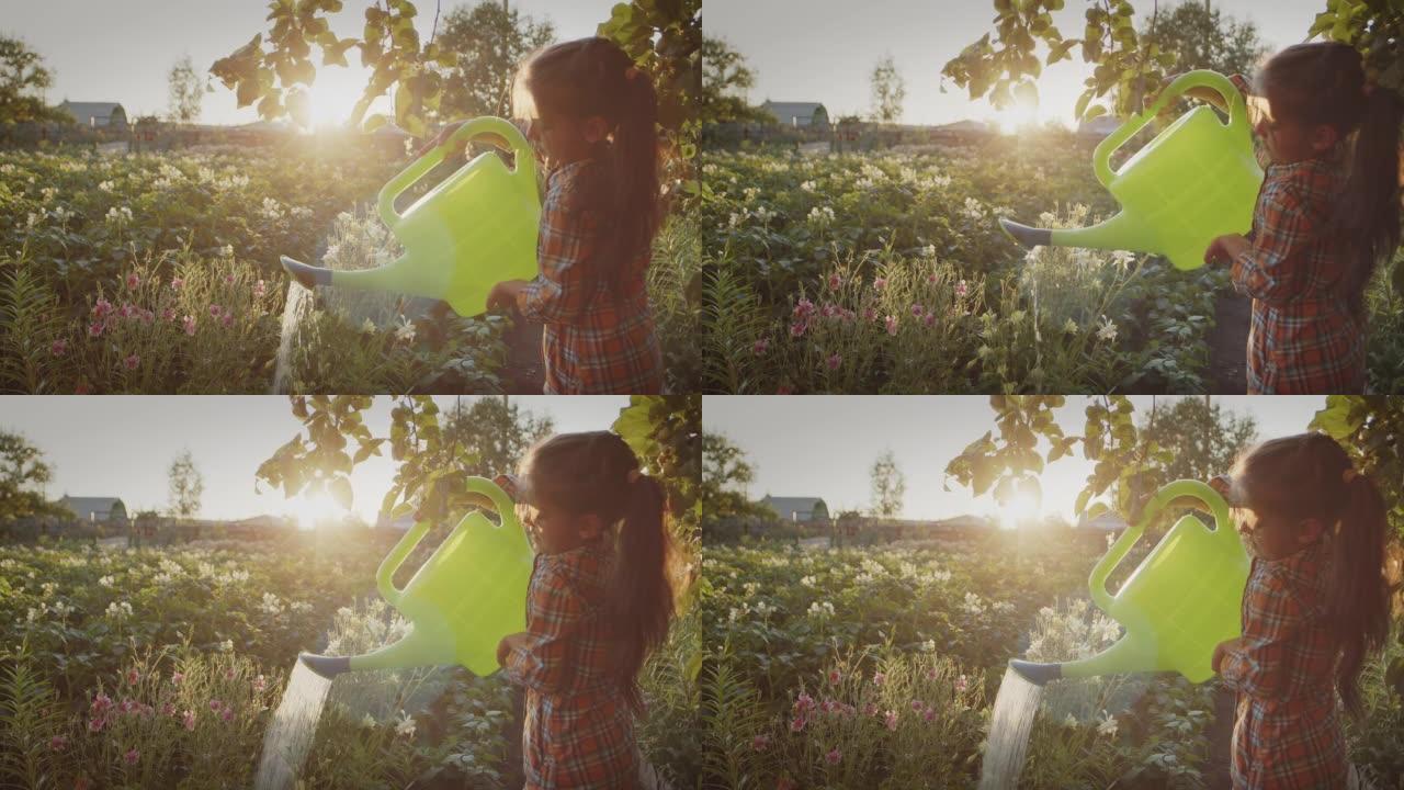 小女孩开心地浇菜喷壶，为植物的生长做农活