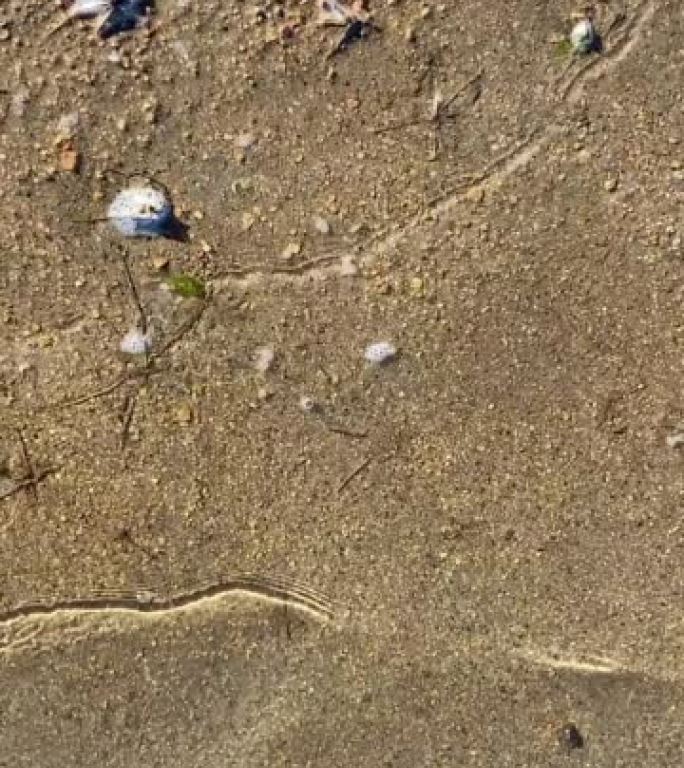 垂直海滩波浪海岸波浪水海岸线海岸涟漪海岸沙质水下低潮