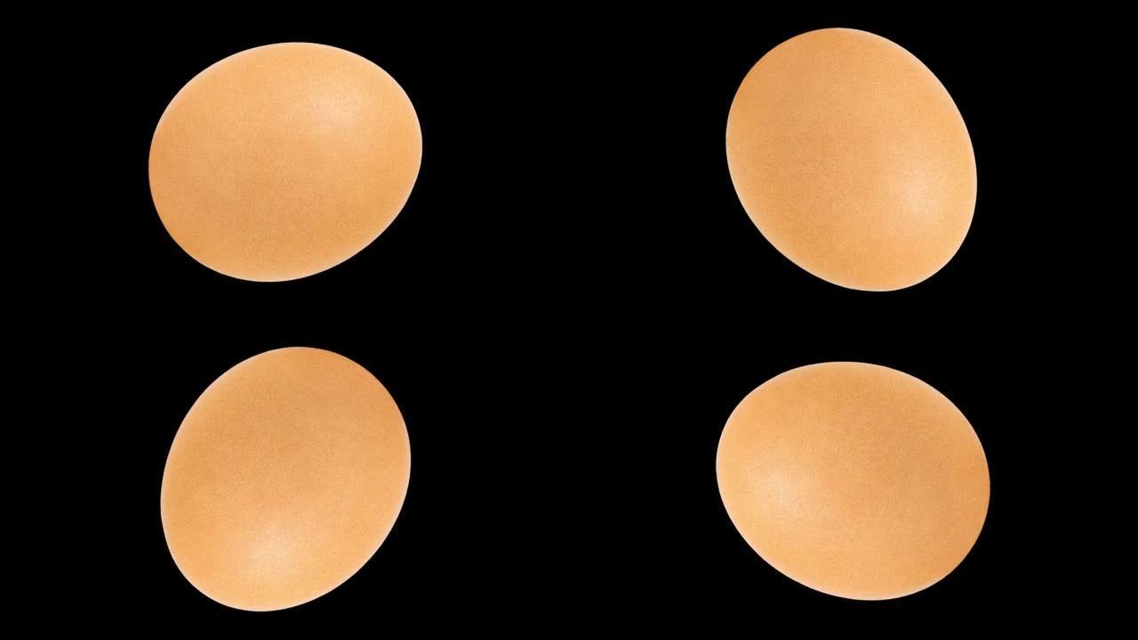 鸡蛋全米色鸡，孤立在黑色背景上，旋转，转动，特写微距，顶视图。
