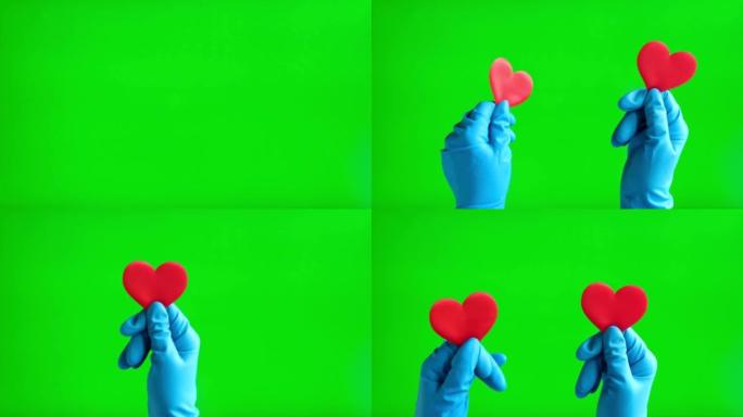 双手戴着医用手套，在绿色屏幕背景上戴着红色的心脏隔离。特写。人类手在色度键屏幕上戴着红色心脏的蓝色手