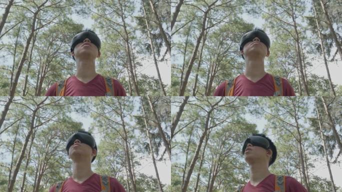 游客使用VR玻璃观看松林的虚拟世界