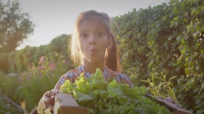 快乐的小女孩在花园床收获聚会后吃天然蔬菜