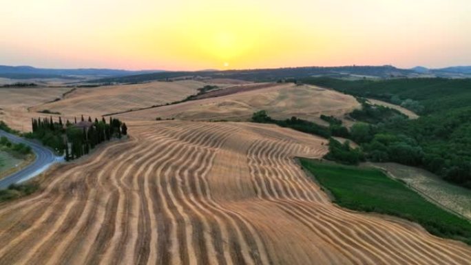 美丽的著名位置风景树木和农业农场的日出曲线收获后在意大利佛罗伦萨瓦尔奥西亚的托斯卡纳，从文艺复兴时期