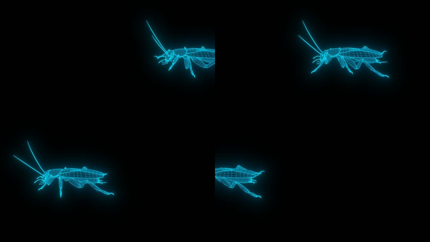 蓝色全息线框蟑螂动画素材带通道