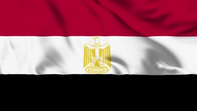 埃及国旗循环可4K分辨率