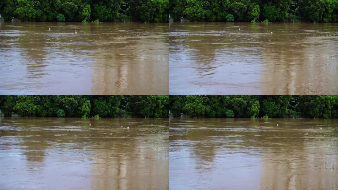 溢流的河流洪水泛滥河道泄洪