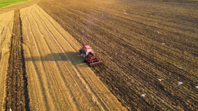 在大型农业农场收获小麦后，用旋耕犁在大型农业农场上耕作拖拉机，飞来飞去