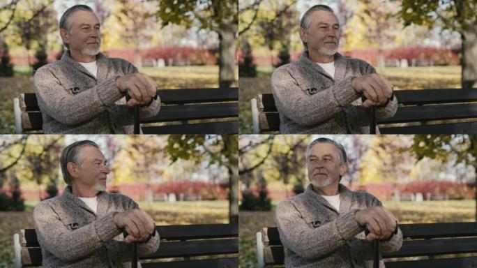秋天，微笑的白人老人坐在公园的长椅上。用8k的红氦相机拍摄