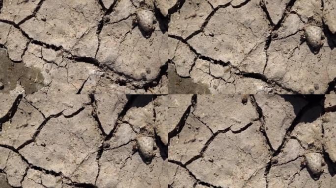 多利射击干燥开裂的土壤表面。干泥的宏观幻灯片拍摄。