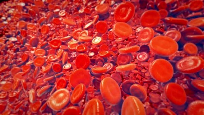 红细胞红细胞