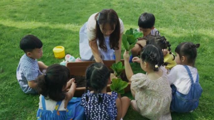 学前老师在托儿所教孩子有关植物的知识